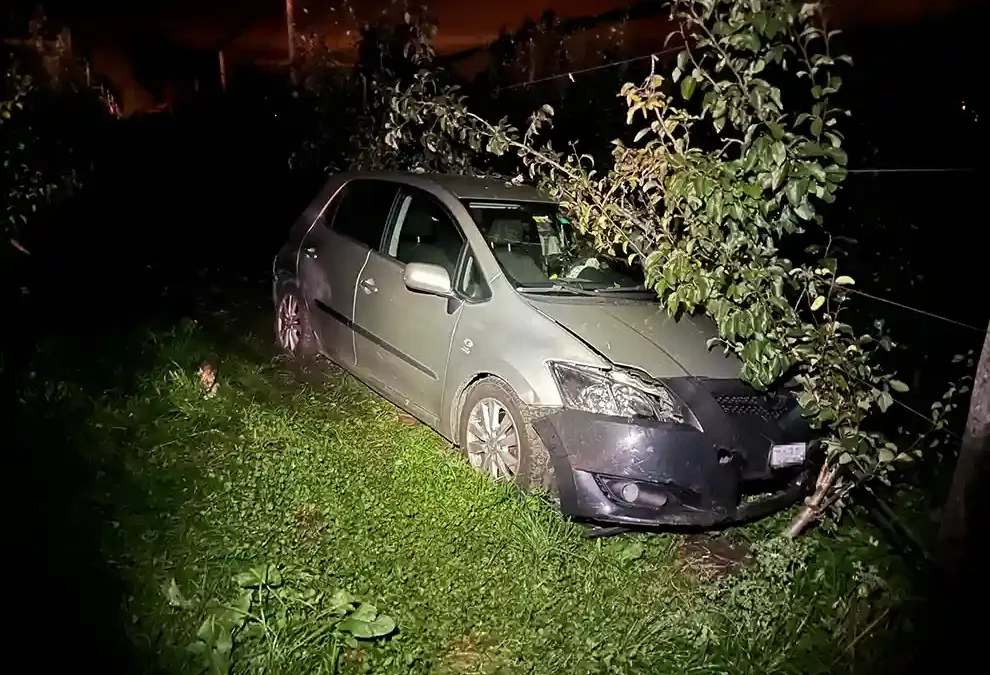 Eschenz TG – Alkoholisiert verunfallt