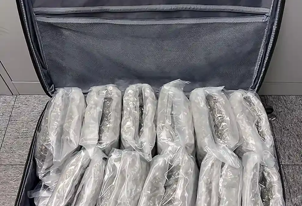 Zürich – Marihuana im Koffer versteckt