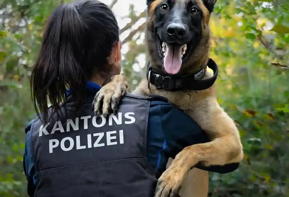 Aarau – Jugendliche Einbrecher dank Polizeihund verhaftet