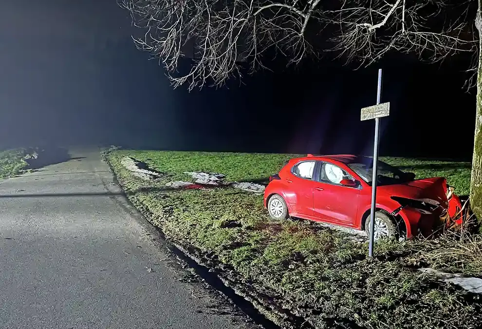 Lernfahrer prallt mit Auto gegen Baum – niemand verletzt