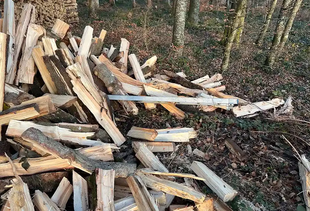 Busswil TG – Bei Arbeitsunfall verletzt