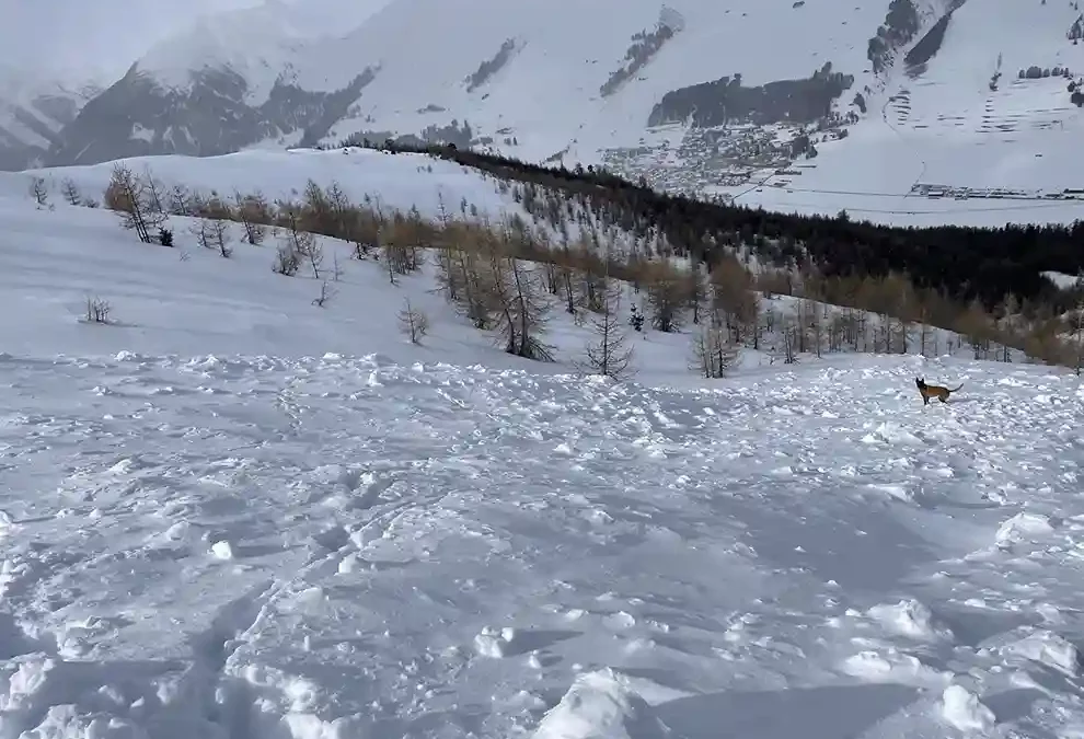 Zuoz GR – Ski auf Lawinenfeld löst Suchaktion aus