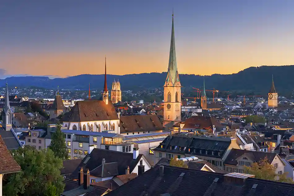 Haustiere im Fahrzeug – was gilt?