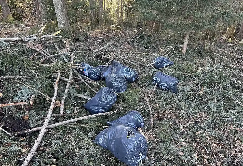 Bennau SZ – Abfall illegal im Wald entsorgt – Zeugenaufruf