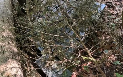 Einbruch auf dem Schießplatz –  Châtillon JU
