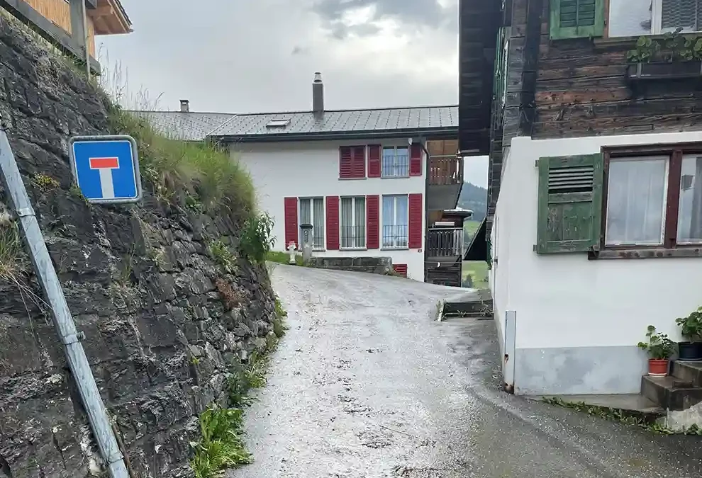 Andiast GR – Frau von Viehherde übertrampelt