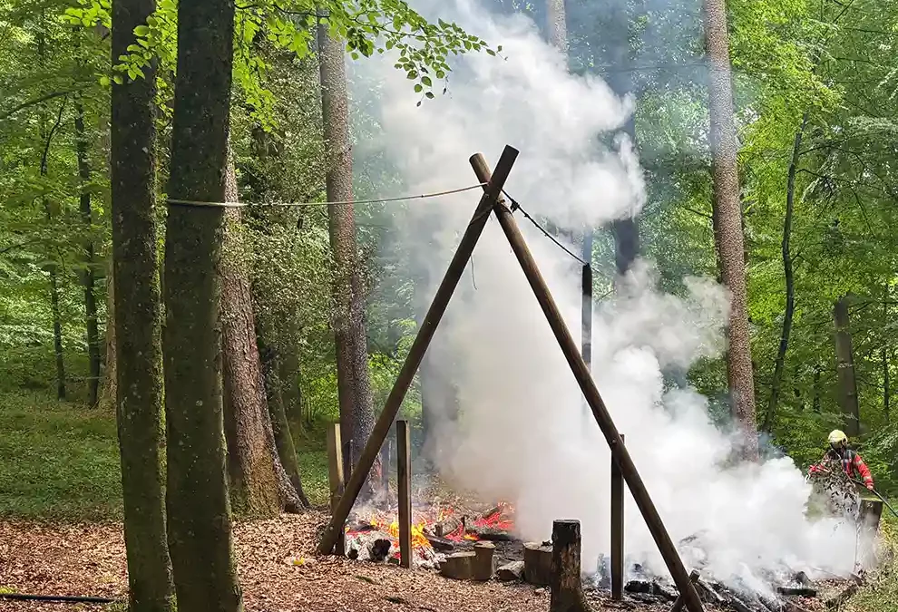 Diessenhofen TG – Waldsofa in Brand geraten