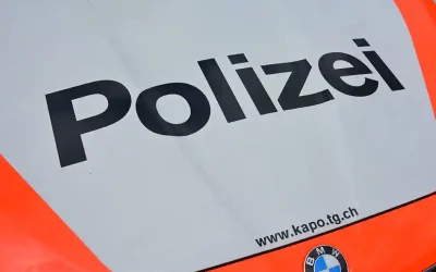 Berg TG – Einschleichdiebstahl