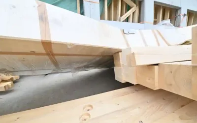 Mann von Holzelement schwer verletzt – Appenzell Innerrhoden