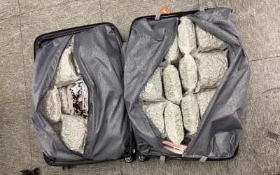 Flughafen Zürich – mehr als 750 Kilogramm Drogen sichergestellt