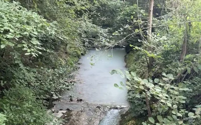 Freiburg – Verschmutzung eines Wasserlaufs in Matran